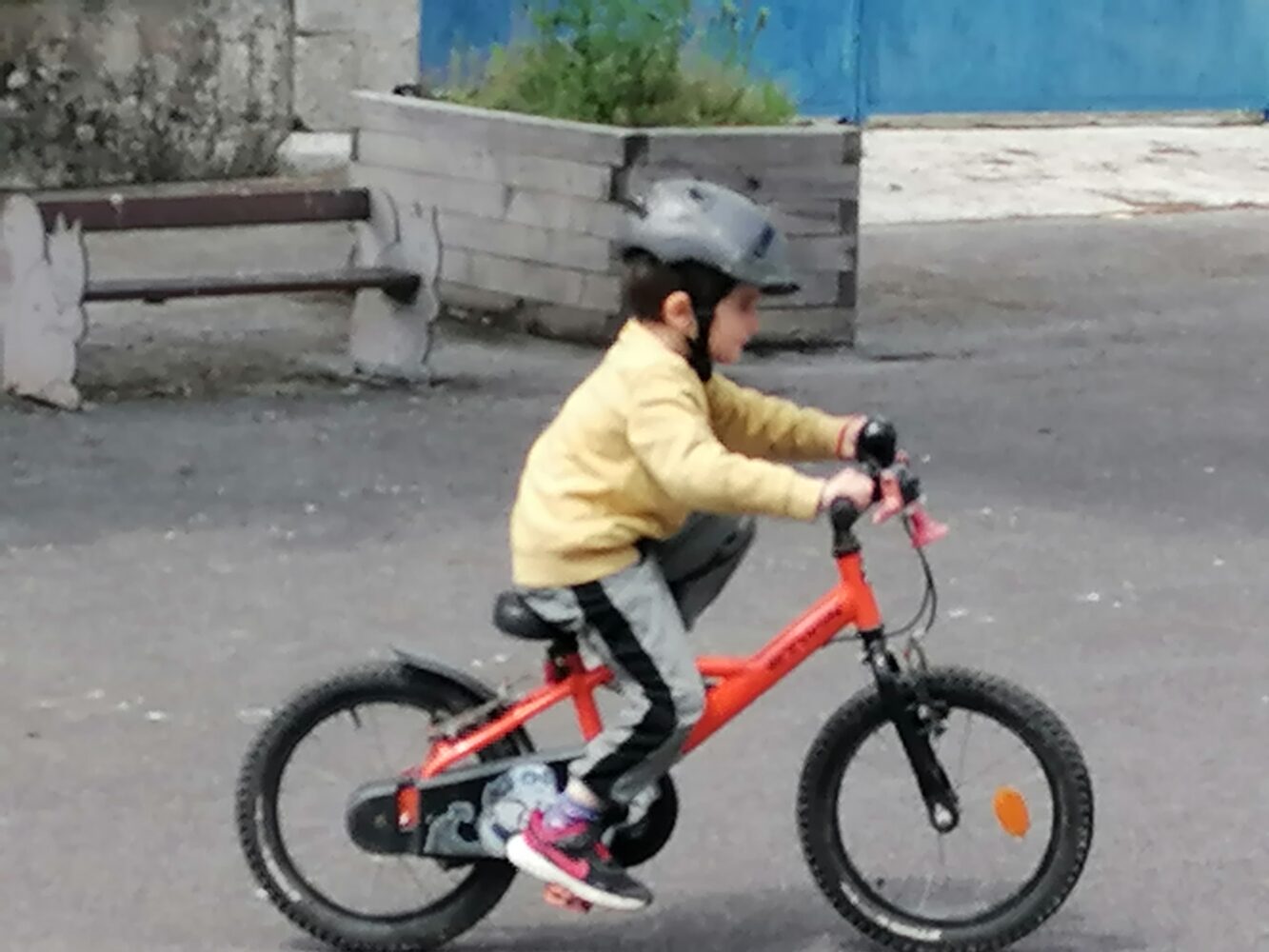 Cycle vélo